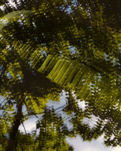 RJ598_Bureaux_Oliver_Jungel_03.jpg